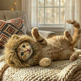 Cute Animal Pet Hat Costume