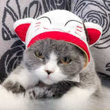 Cute Animal Pet Hat Costume