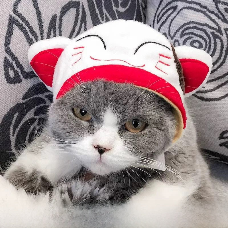 Cute Animal Pet Hat Costume