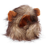 Cute Animal Pet Hat Costume