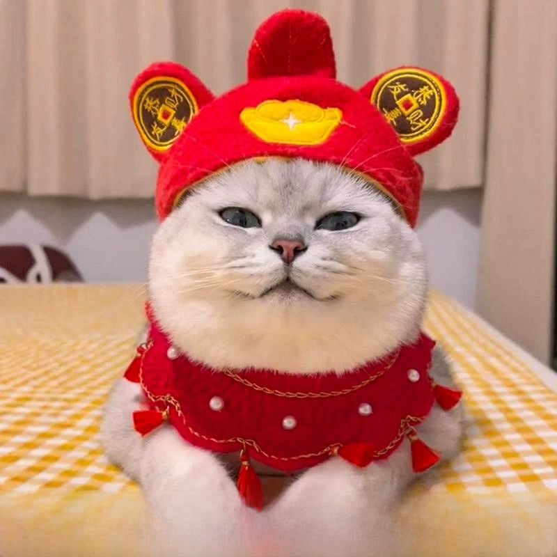 Cute Animal Pet Hat Costume
