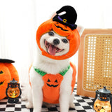 Funny Pumpkin Pet Costume for Dogs Cats