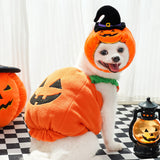 Funny Pumpkin Pet Costume for Dogs Cats
