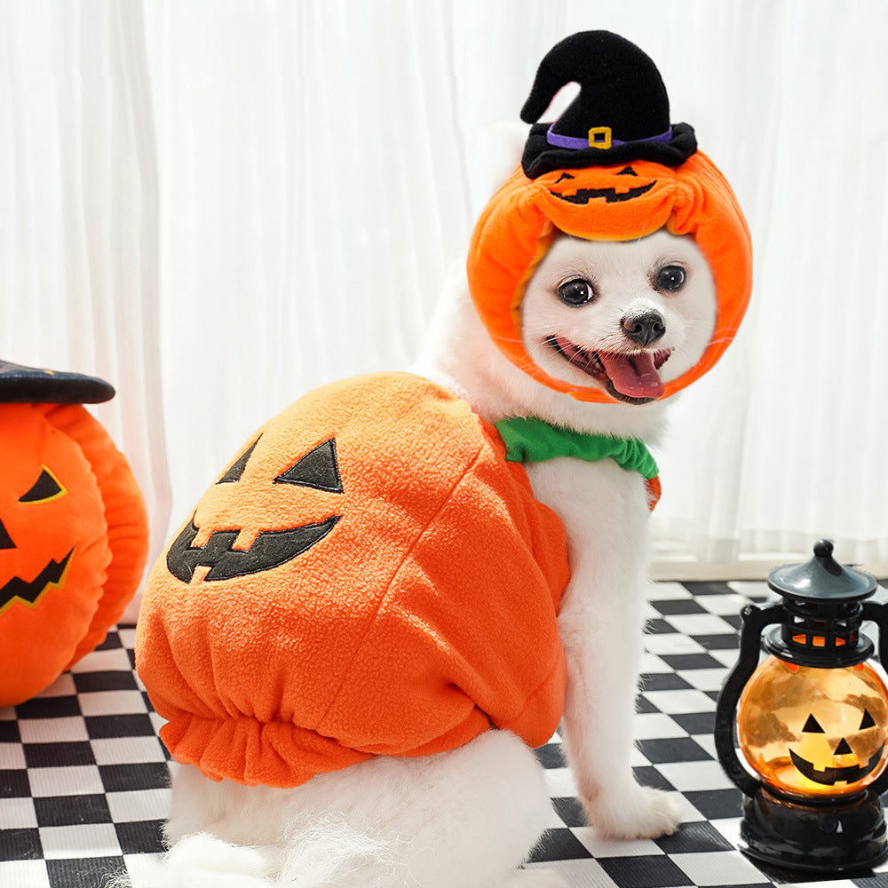 Funny Pumpkin Pet Costume for Dogs Cats