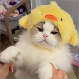 Cute Animal Pet Hat Costume