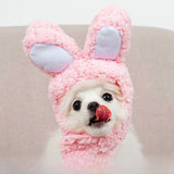 Cute Animal Pet Hat Costume