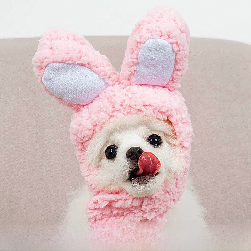 Cute Animal Pet Hat Costume