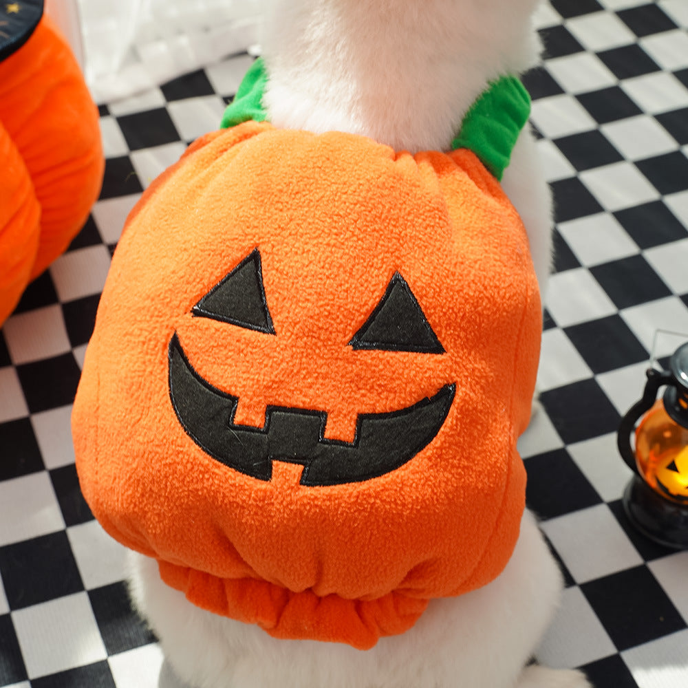 Funny Pumpkin Pet Costume for Dogs Cats