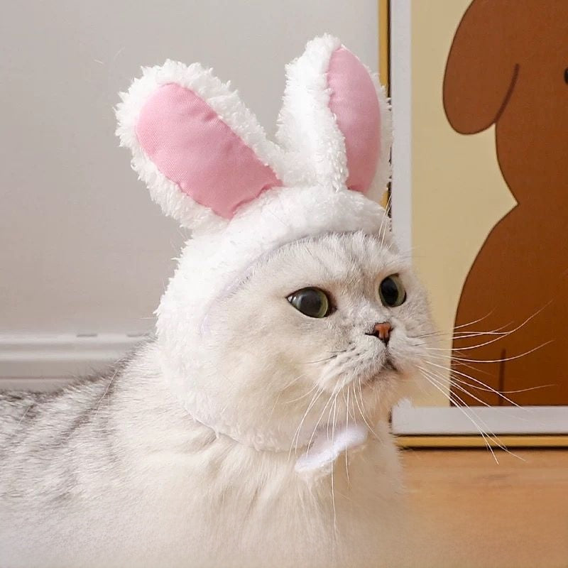 Cute Animal Pet Hat Costume